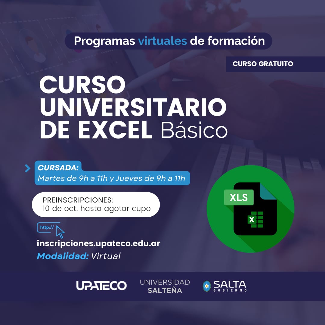 Curso Universitario de Excel (Básico)